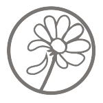 26 25