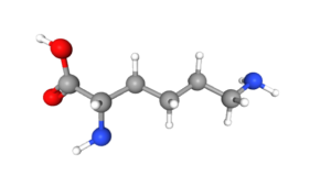 Лизин (Lysine) 1